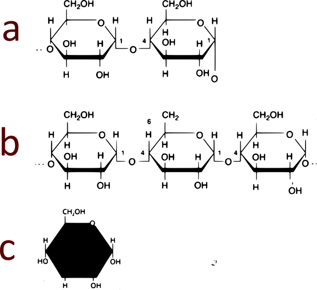 Monosacharidy, Polysacharidy