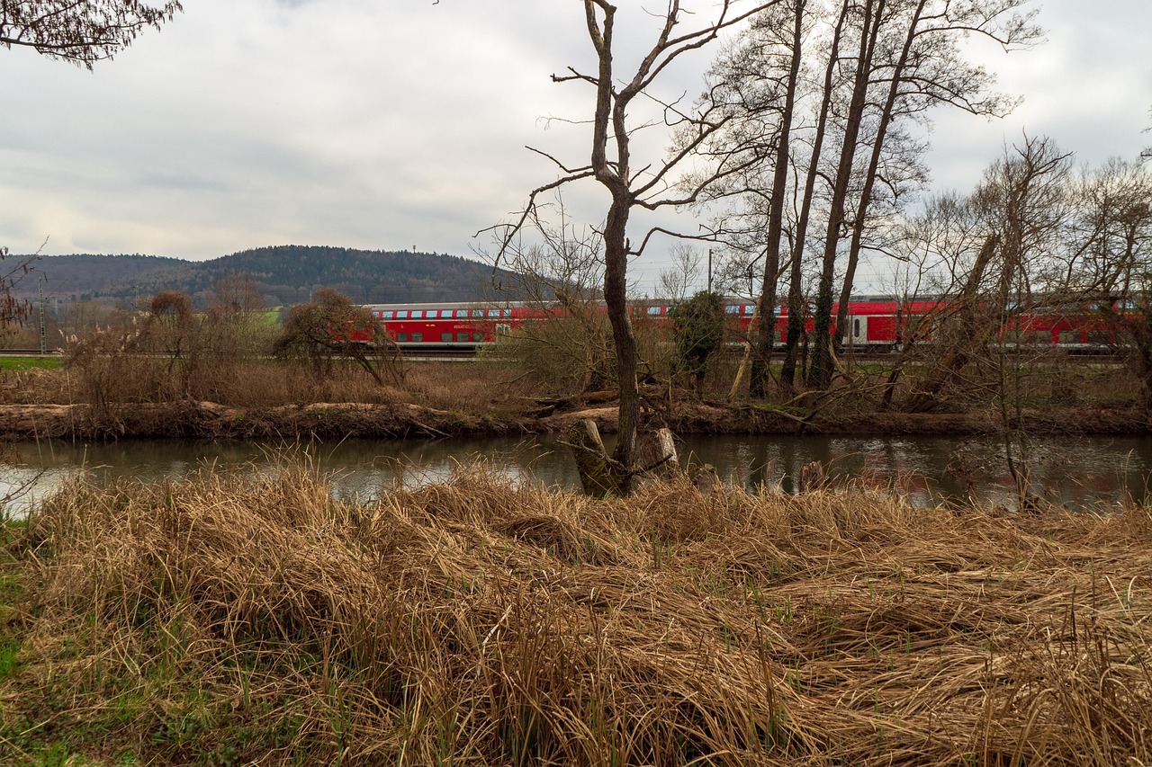 Nature Ril La Nature Rail Former Chemin De - Photo gratuite sur Pixabay - Pixabay