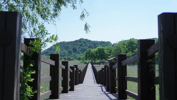 Free Wooden Bridge Landscape photo and picture