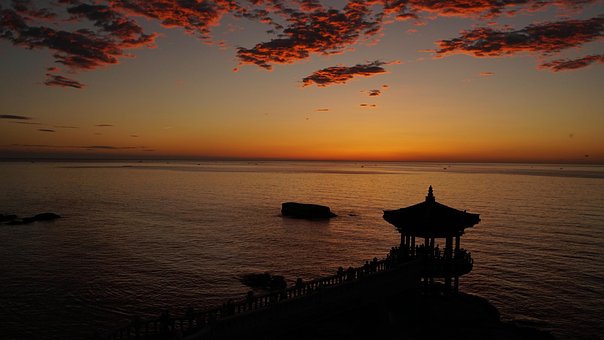 Free Twilight Horizon photo and picture