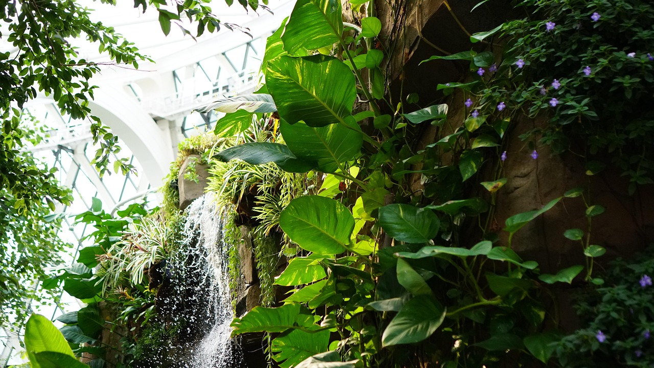 Botanical Garden Plant Flower Free Photo On Pixabay Pixabay