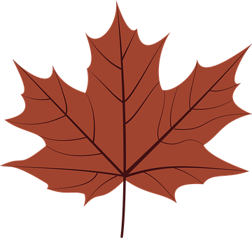 Free Fall Leaf vector and picture
