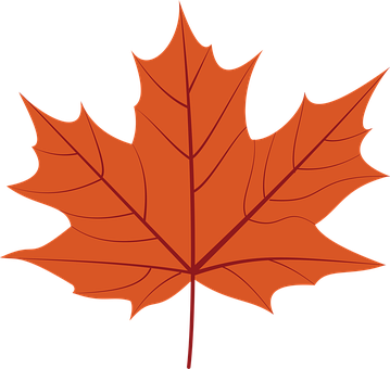 Free Fall Leaf vector and picture