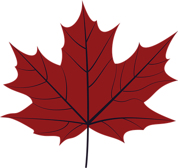 Free Leaf Fall vector and picture