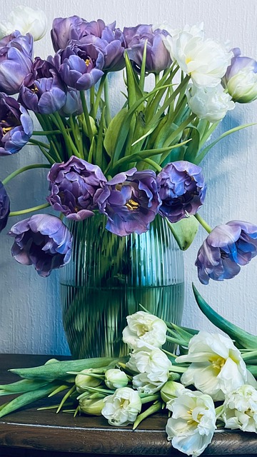 Buquê, Tulipas, Flores, Pétalas