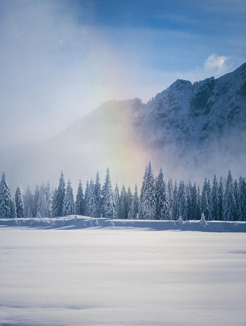 Free Winter Snow photo and picture