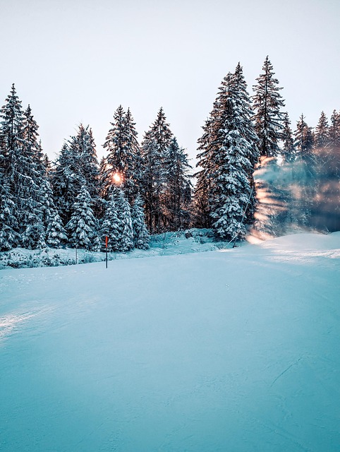 Free Winter Snow photo and picture