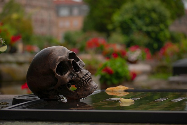 Free Skull Grave photo and picture