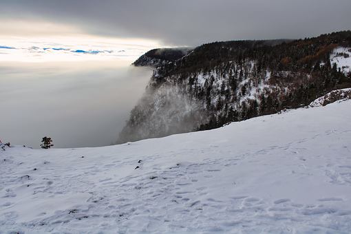 Montaña, Austria, Viena, Viena Neustadt