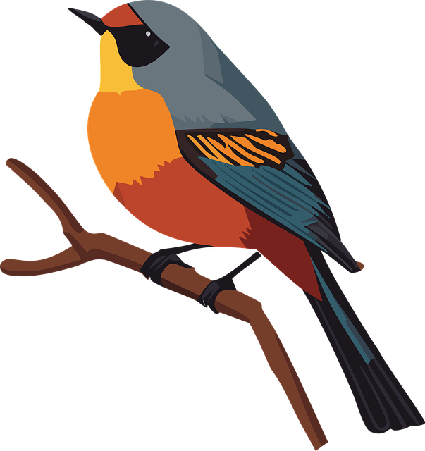 Free Ai Generated Robin illustration and picture