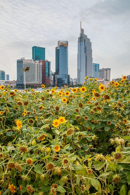 Free Flower Bloom photo and picture