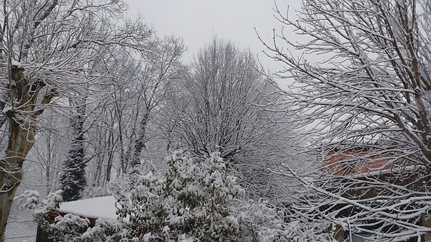 Sne, Landskab, Vinter, Natur, Kold, Hvid