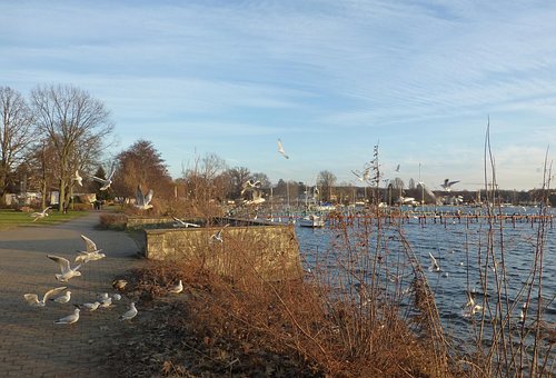 Free Flying Lake photo and picture