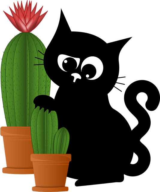 Free cat cactus kitten vector
