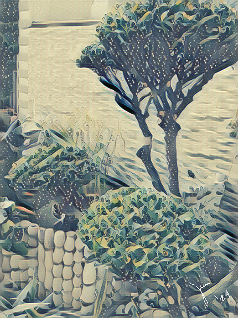 Free Fishes Plants illustration and picture