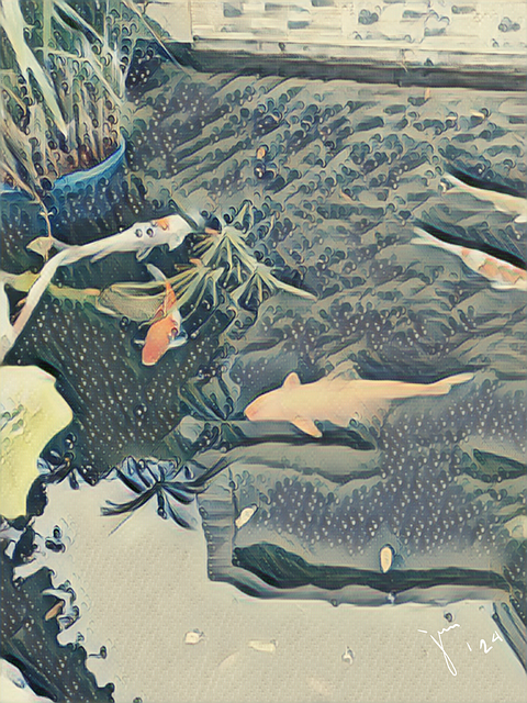 Free Fishes Koi illustration and picture