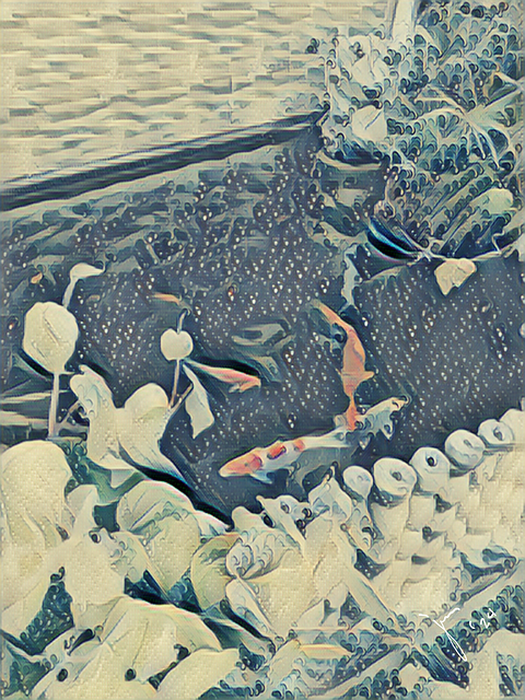 Free Fishes Pond illustration and picture