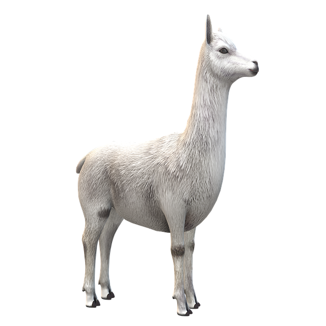 900+ Alpaca Pictures and Photos in HD - Pixabay