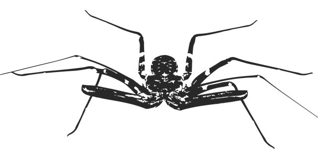 Free flagellar spider amblypygi arthropod illustration