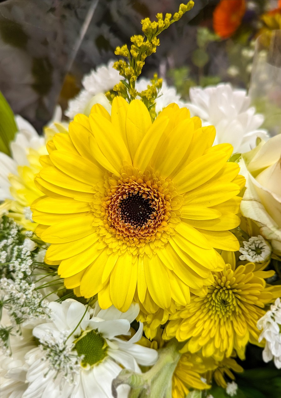 Discover and download free images - Pixabay