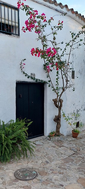 Tür, Blumen, Steine