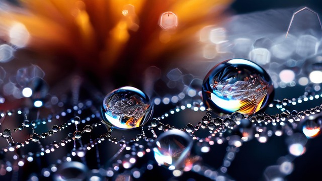 Free water droplets shiny spider web illustration