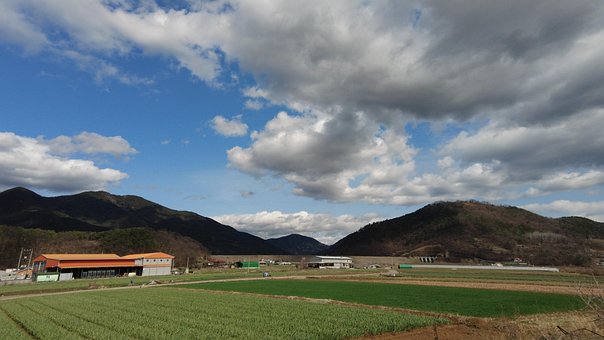 Wolke, Land, Entwicklung Des Ländlichen