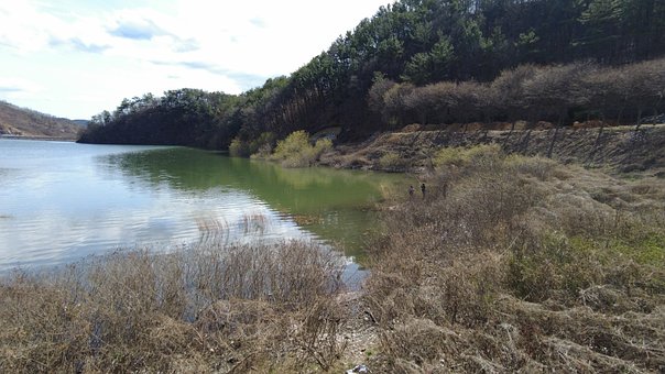 Angeln, Lake, Frühling, Durchschauen