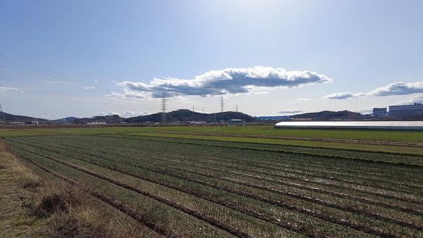 Entwicklung Des Ländlichen
