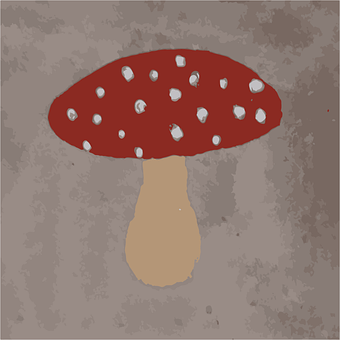 Champiñón, Seta Venenosa, Otoño