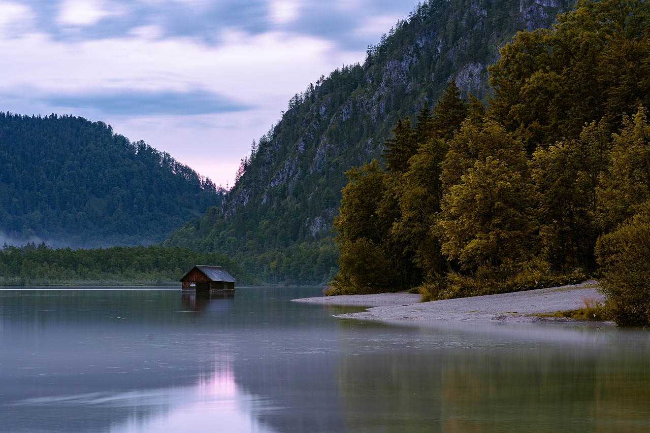 Forest - free online jigsaw puzzle photo