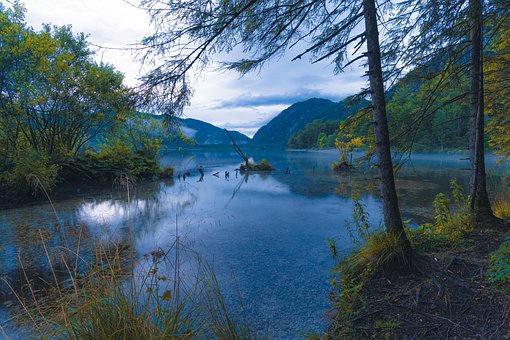 Free Lake Forest photo and picture