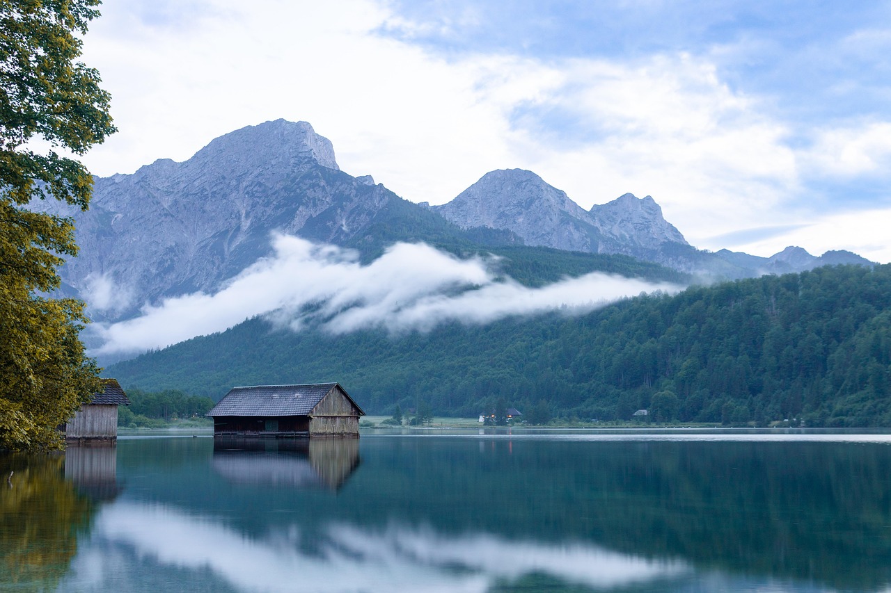Forest - free online jigsaw puzzle photo