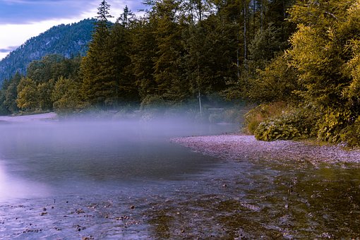 Free Lake Forest photo and picture