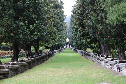 Free Trees Wall photo and picture