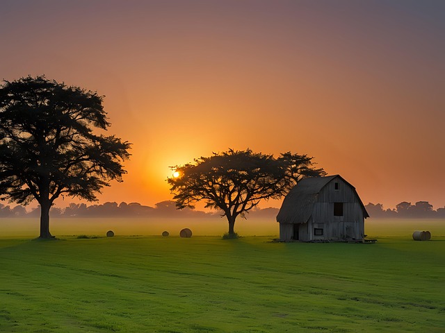 Free farm sunset nature illustration