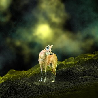 Fluss, Techno, Landschaft, Digital