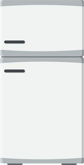 Free Refrigerator Fridge vector and picture