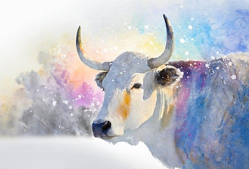 Free Bull Horns illustration and picture