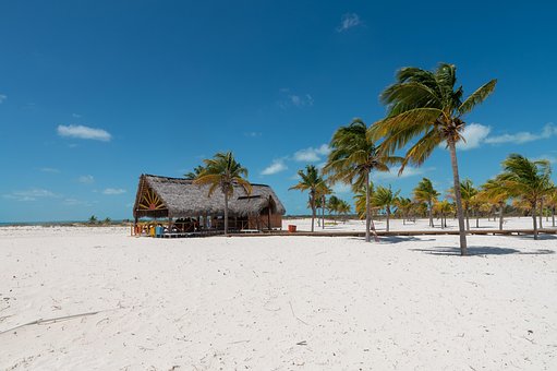 Cuba, Strand, Natur, Tropisk, Ø, Sommer