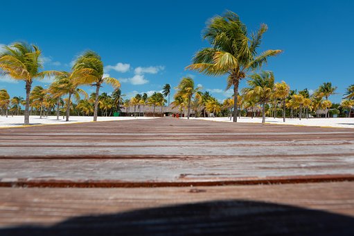 Cuba, Strand, Natur, Tropisk, Ø, Sommer
