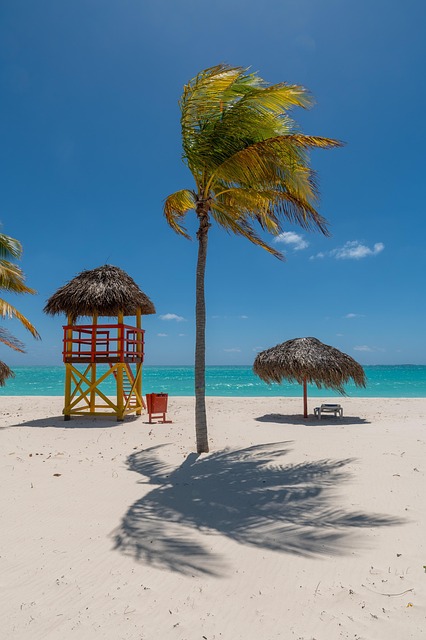 Cuba, Strand, Natur, Tropisk, Ø, Sommer