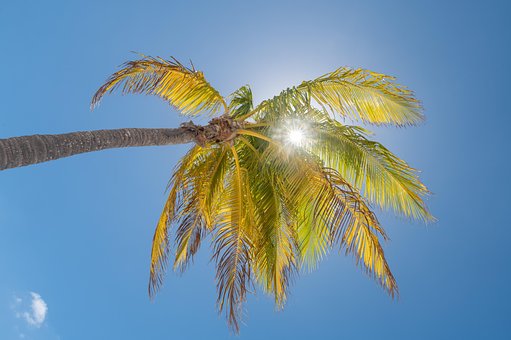 Cuba, Strand, Natur, Tropisk, Ø, Sommer