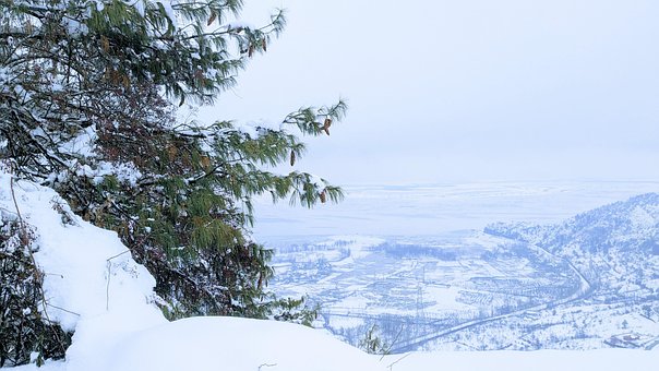 Free Snow Alpine photo and picture