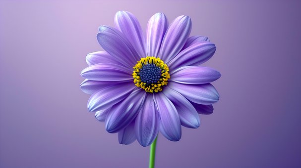 Ai Generat, Floare, Petale