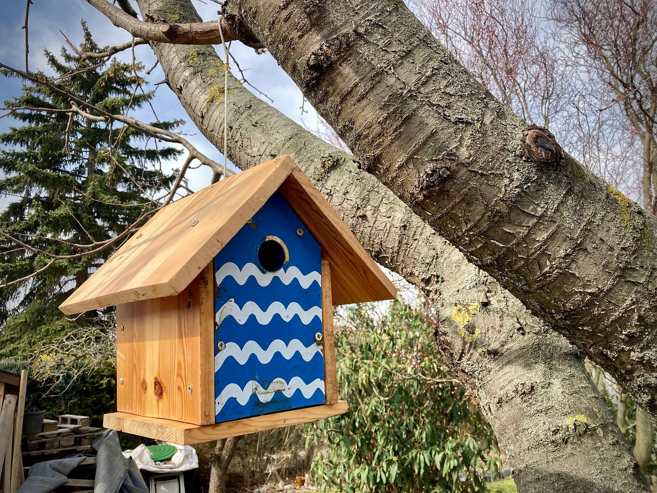 Maison D'Oiseau Oiseau Jardin La - Photo gratuite sur Pixabay