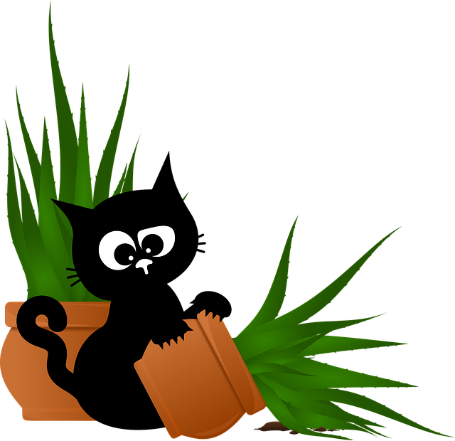 Free cat black cat aloe vera vector