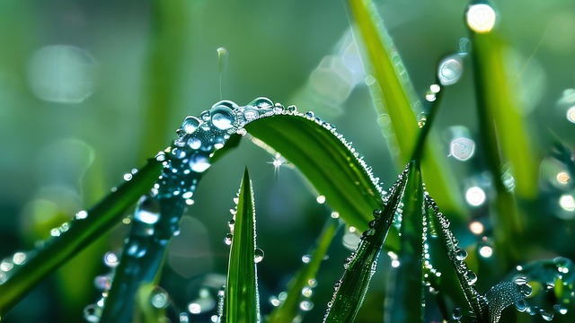 Free ai generated leaf grass illustration