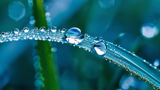 Free ai generated grass leaf illustration
