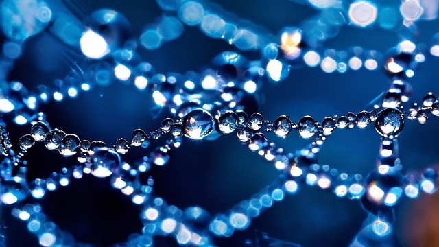 Free ai generated water droplets spiderweb illustration